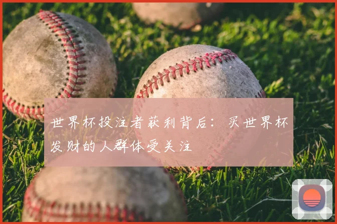 世界杯投注者获利背后：买世界杯发财的人群体受关注