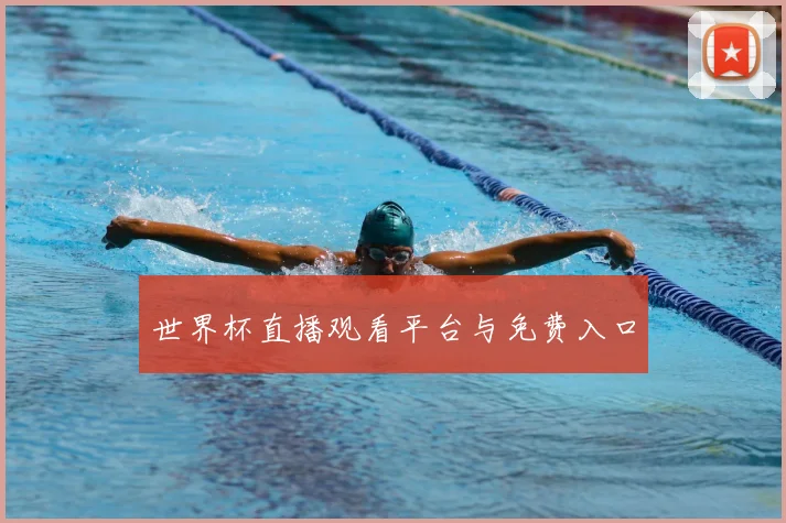 世界杯直播观看平台与免费入口