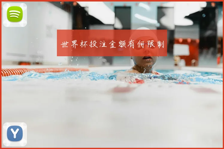 世界杯投注金额有何限制