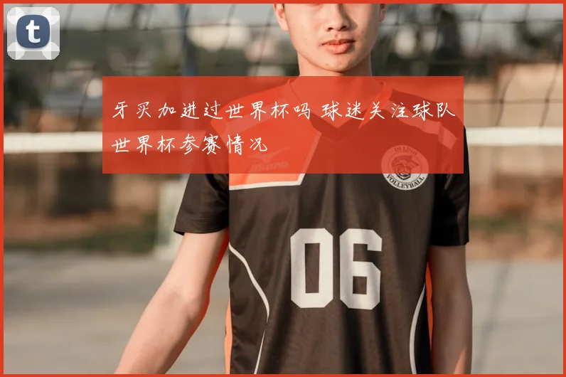 牙买加进过世界杯吗 球迷关注球队世界杯参赛情况